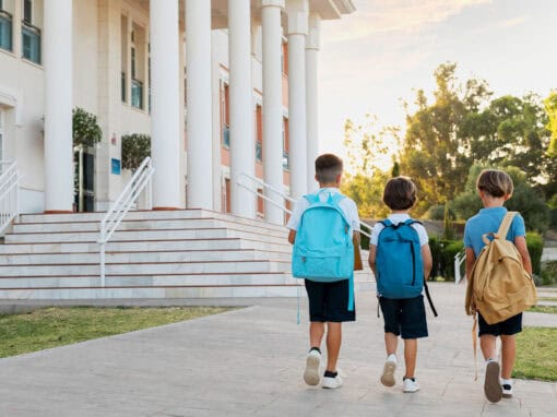 Best of Both Worlds: Voucher Schools