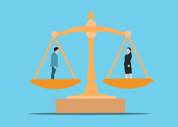 WILL-Backed Equality Amendment ﻿On November 2026 Ballot